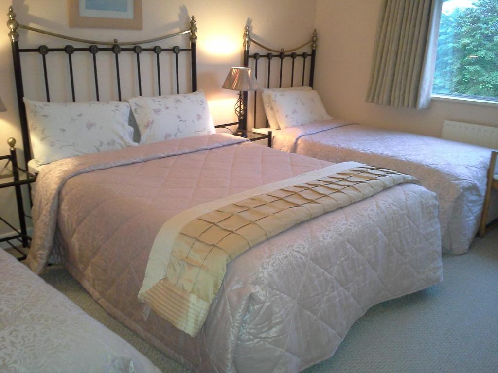 Fern Rock Bed And Breakfast Dromin Habitación foto